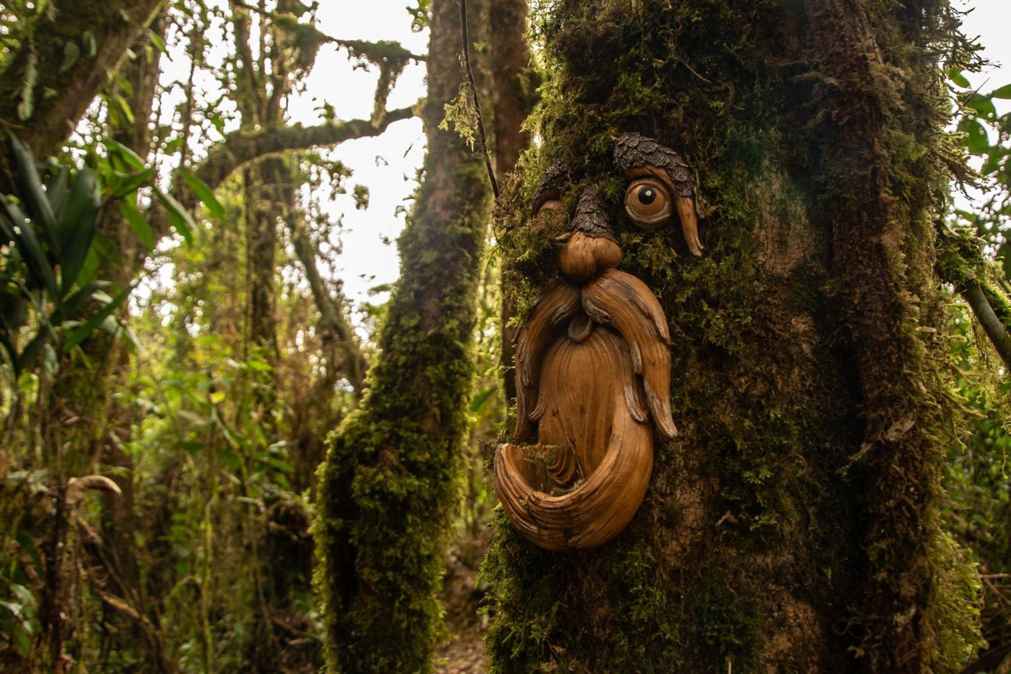 Owl'S Watch At Rio Blanco Villa Manizales Exterior photo